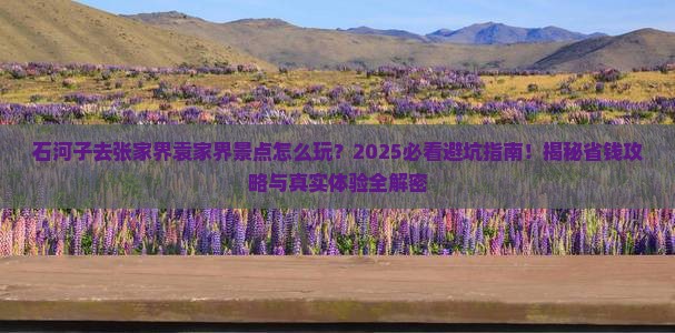 石河子去张家界袁家界景点