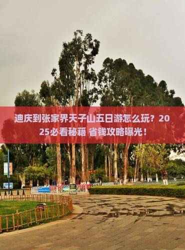 迪庆到张家界天子山五日游