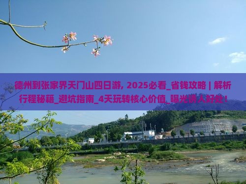 德州到张家界天门山四日游