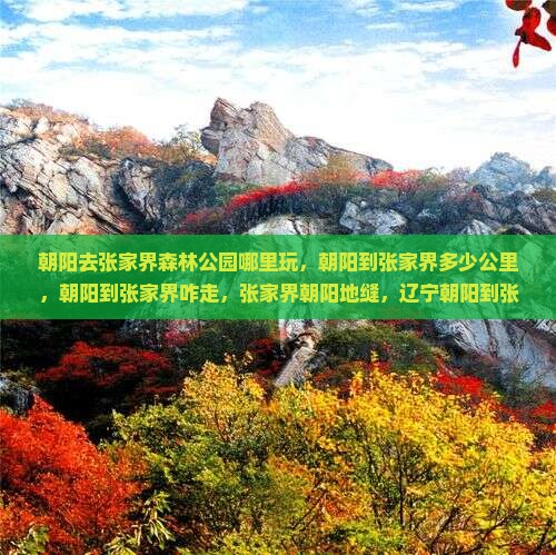 朝阳去张家界森林公园哪里玩