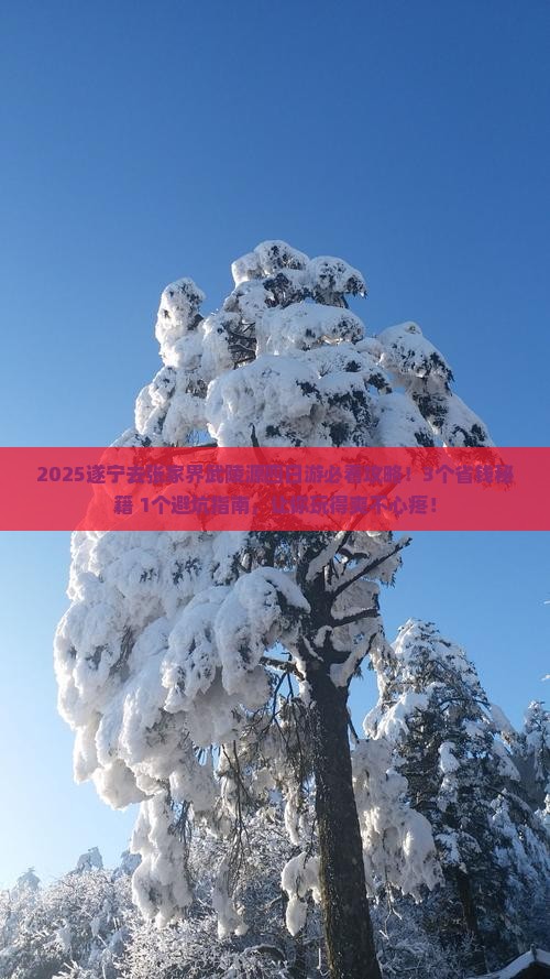 遂宁去张家界武陵源四日游