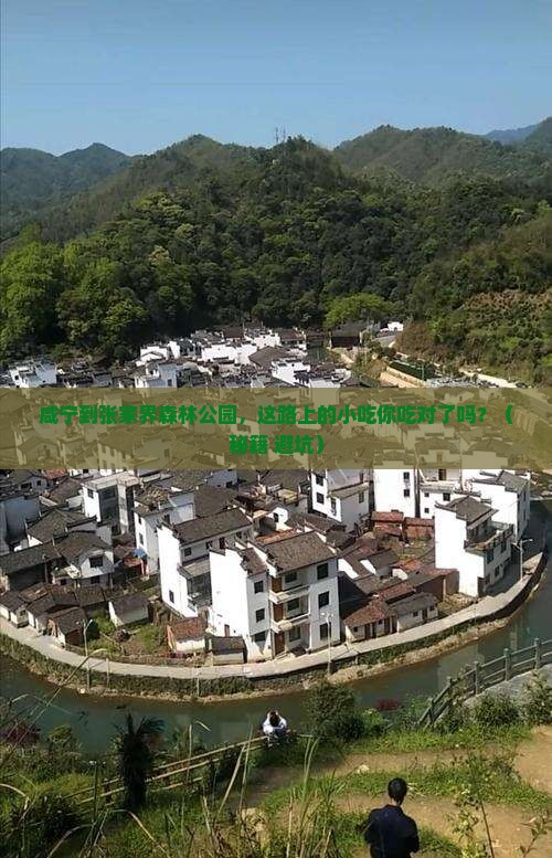 咸宁到张家界森林公园旅游小吃