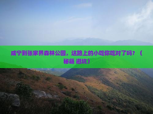 咸宁到张家界森林公园旅游小吃