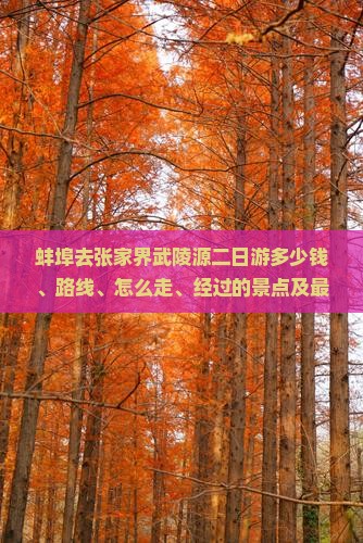 蚌埠去张家界武陵源二日游
