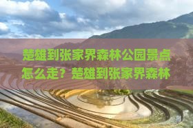 楚雄到张家界森林公园景点