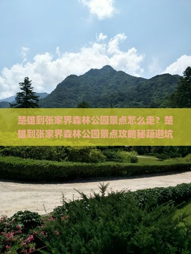 楚雄到张家界森林公园景点