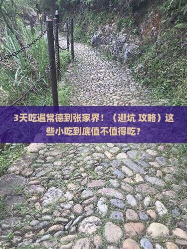 常德到张家界旅游小吃