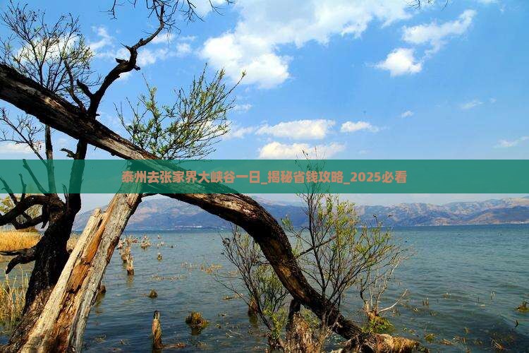 泰州去张家界大峡谷一日