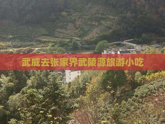 武威去张家界武陵源旅游小吃