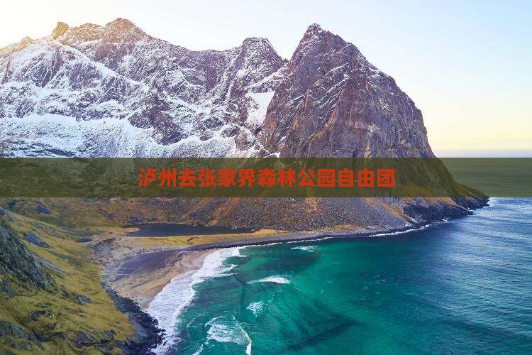 泸州去张家界森林公园自由团
