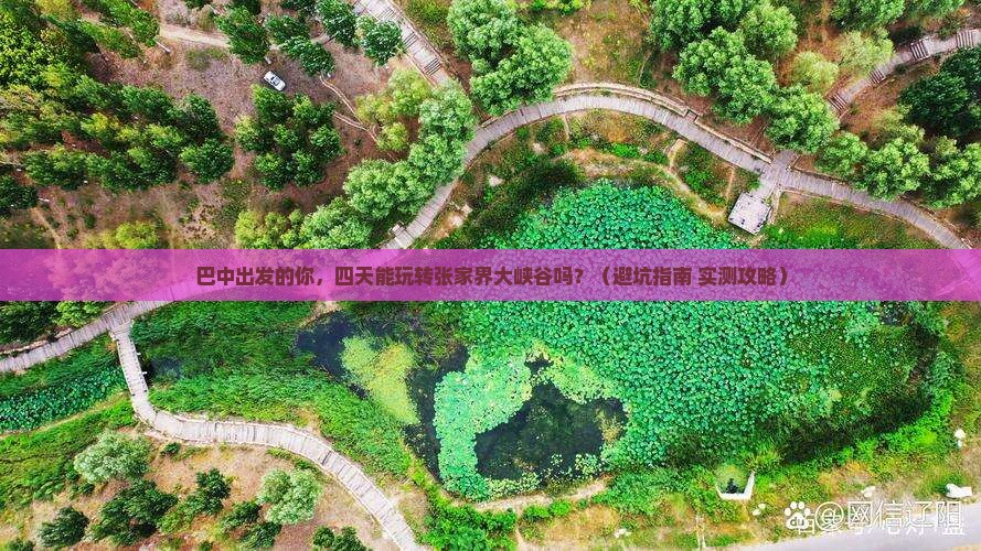 巴中到张家界大峡谷四日游