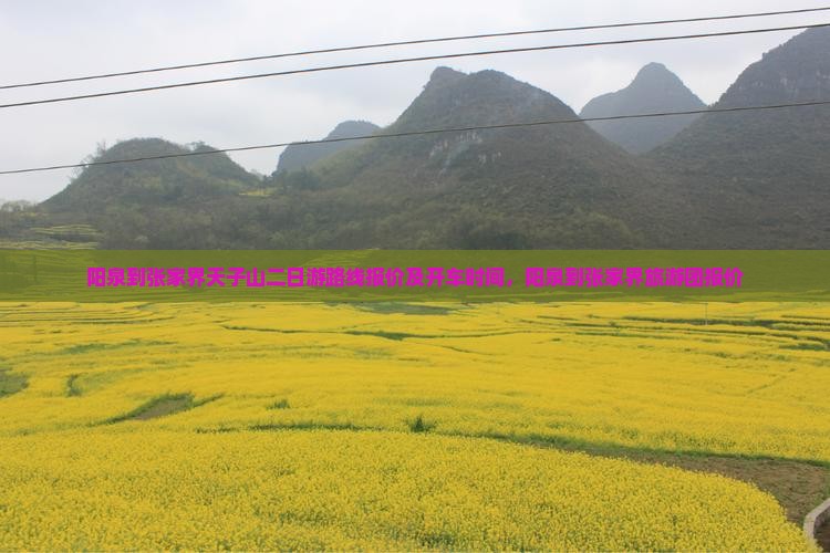 阳泉到张家界天子山二日游