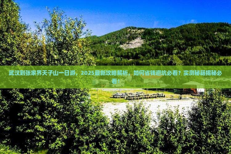 武汉到张家界天子山一日