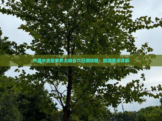 六盘水去张家界大峡谷六日游