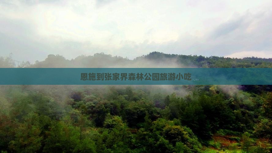 恩施到张家界森林公园旅游小吃