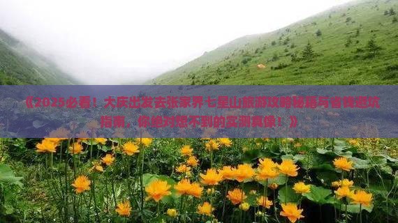 大庆去张家界七星山旅游