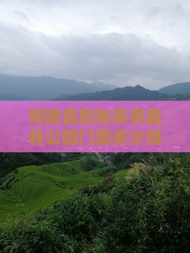 鄢陵县到张家界森林公园门票
