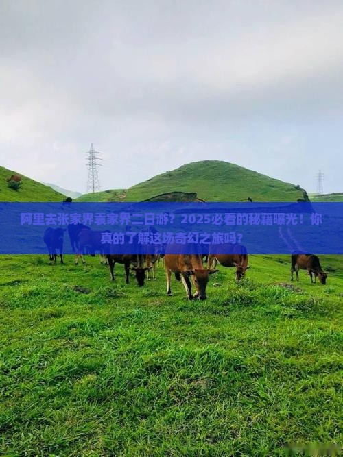 阿里去张家界袁家界二日游