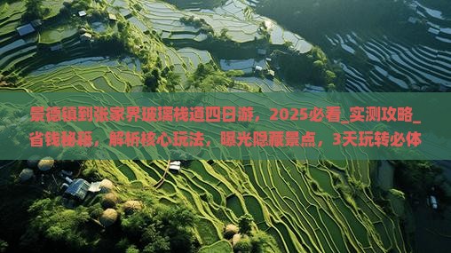 景德镇到张家界玻璃栈道四日游