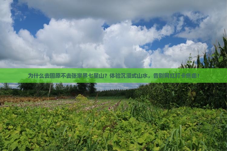 固原去张家界七星山景点