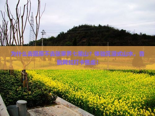 固原去张家界七星山景点