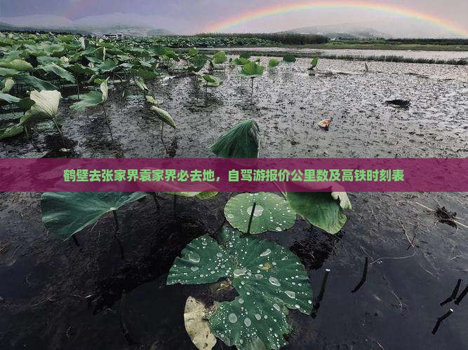 鹤壁去张家界袁家界必去地