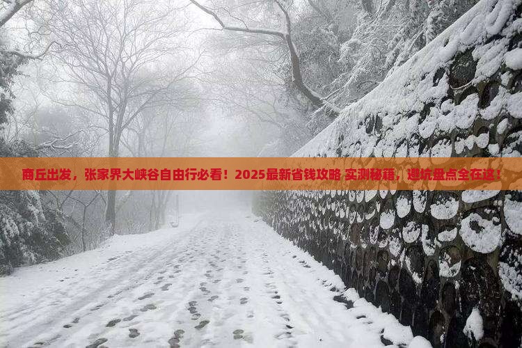 商丘去张家界大峡谷自由行