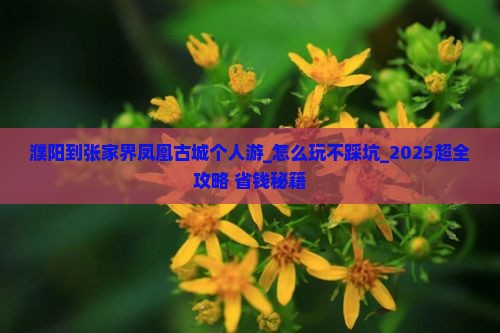 濮阳到张家界凤凰古城个人游