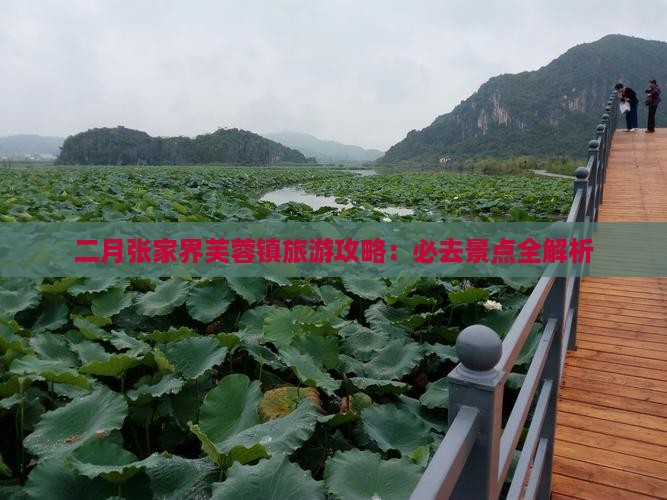 二月去张家界芙蓉镇景点