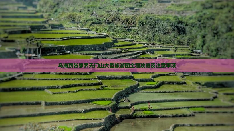 乌海到张家界天门山大型旅游团