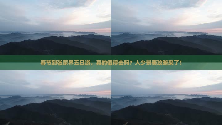 春节到张家界五日游