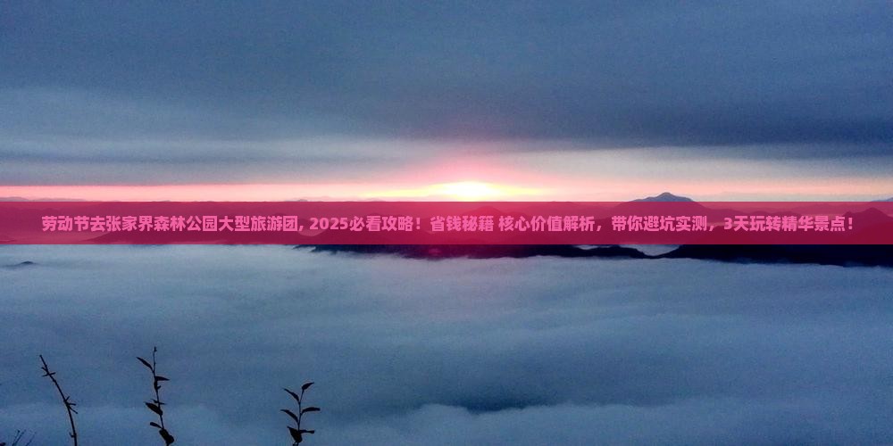 劳动节去张家界森林公园大型旅游团 劳动节去张家界森林公园大型旅游团