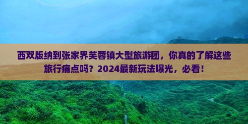 西双版纳到张家界芙蓉镇大型旅游团