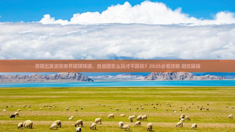 贵阳去张家界玻璃栈道自由团 贵阳去张家界玻璃栈道自由团