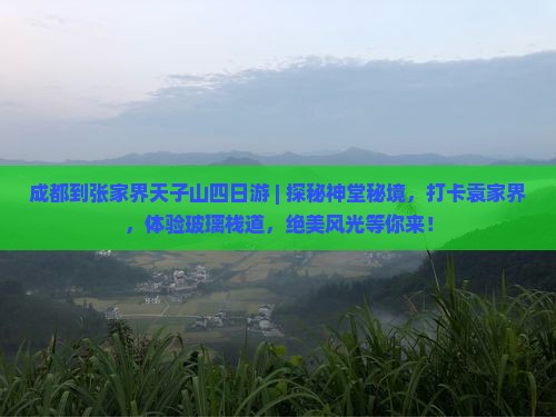 成都到张家界天子山四日游