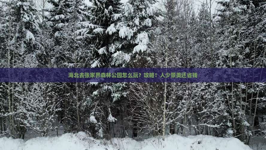 海北去张家界森林公园攻略