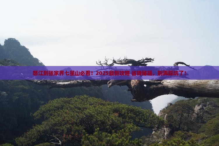 怒江到张家界七星山哪里玩