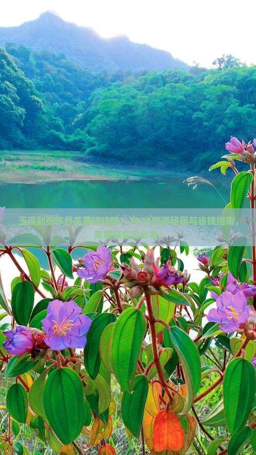 玉溪到张家界芙蓉镇攻略
