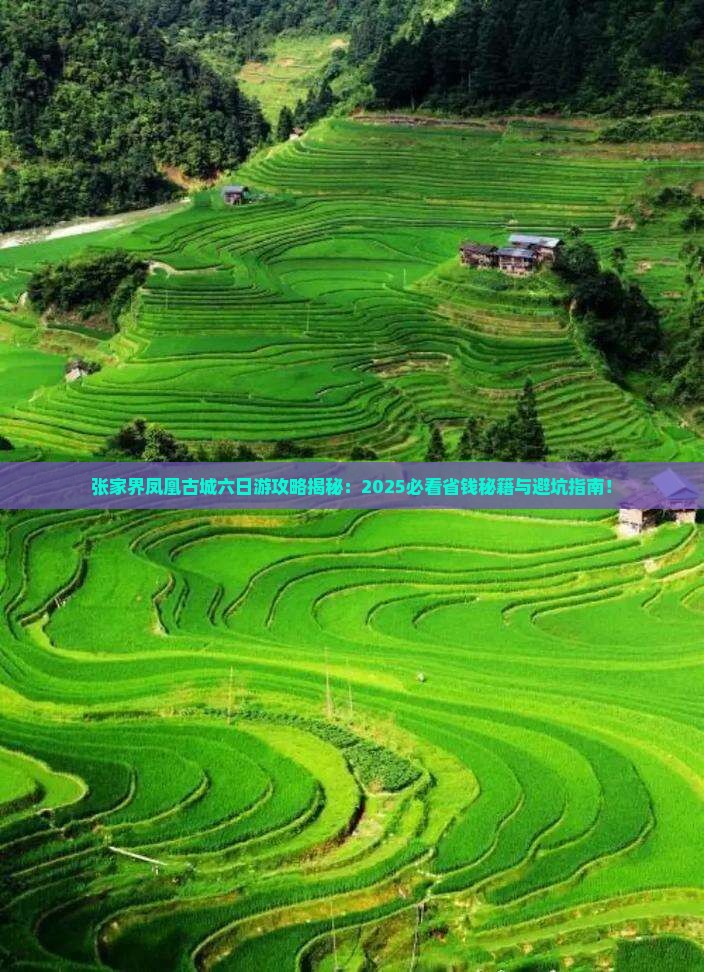 塔城去张家界凤凰古城六日游