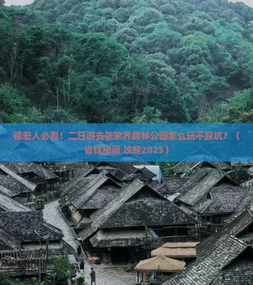 德宏到张家界森林公园二日游