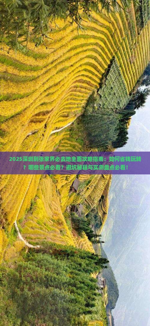 深圳到张家界必去地