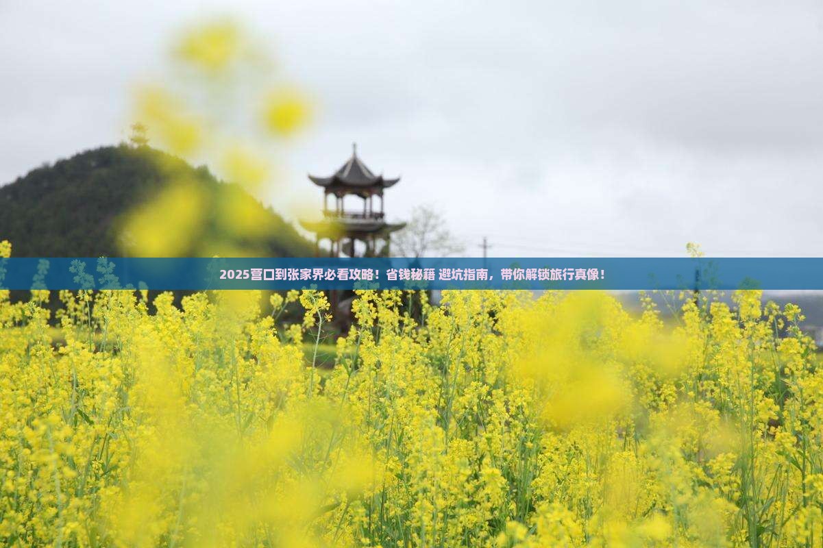 营口到张家界攻略