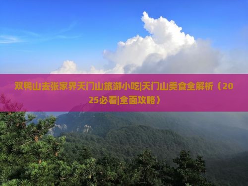 双鸭山去张家界天门山旅游小吃