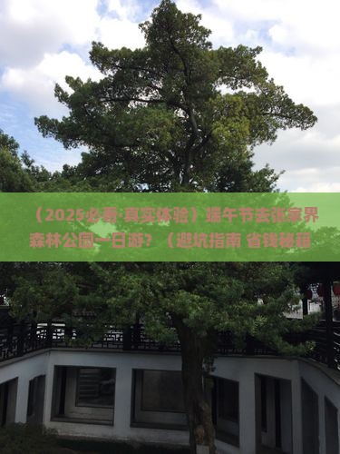 端午节到张家界森林公园一日
