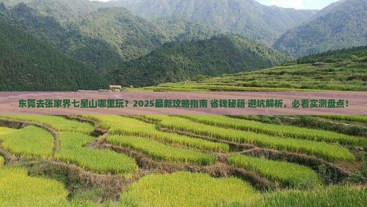东莞去张家界七星山哪里玩