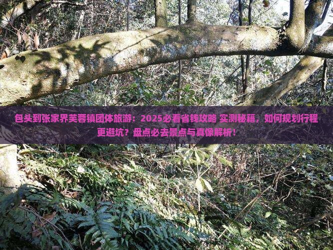 包头到张家界芙蓉镇团体旅游