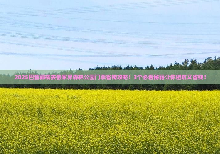 巴音郭楞去张家界森林公园门票