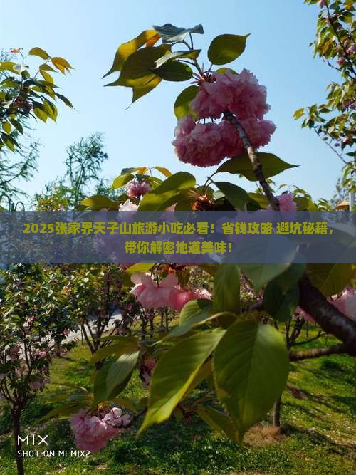 怀化到张家界天子山旅游小吃