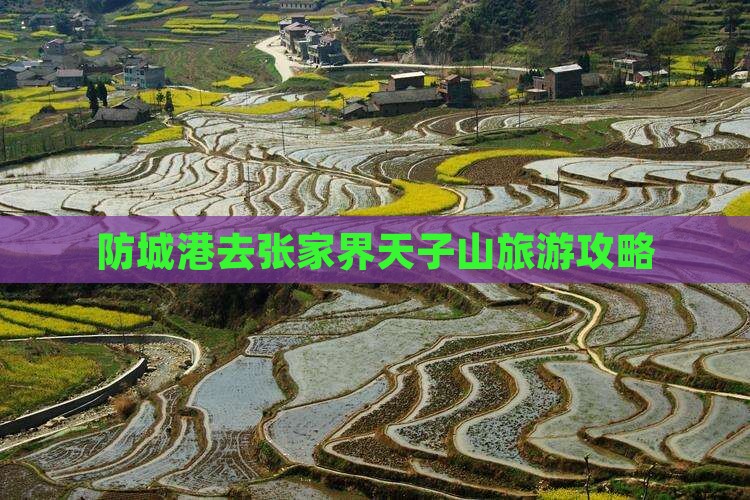 防城港去张家界天子山团体旅游