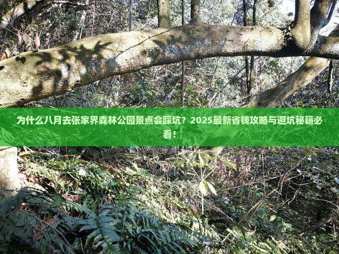 八月到张家界森林公园景点